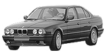 BMW E34 P0481 Fault Code